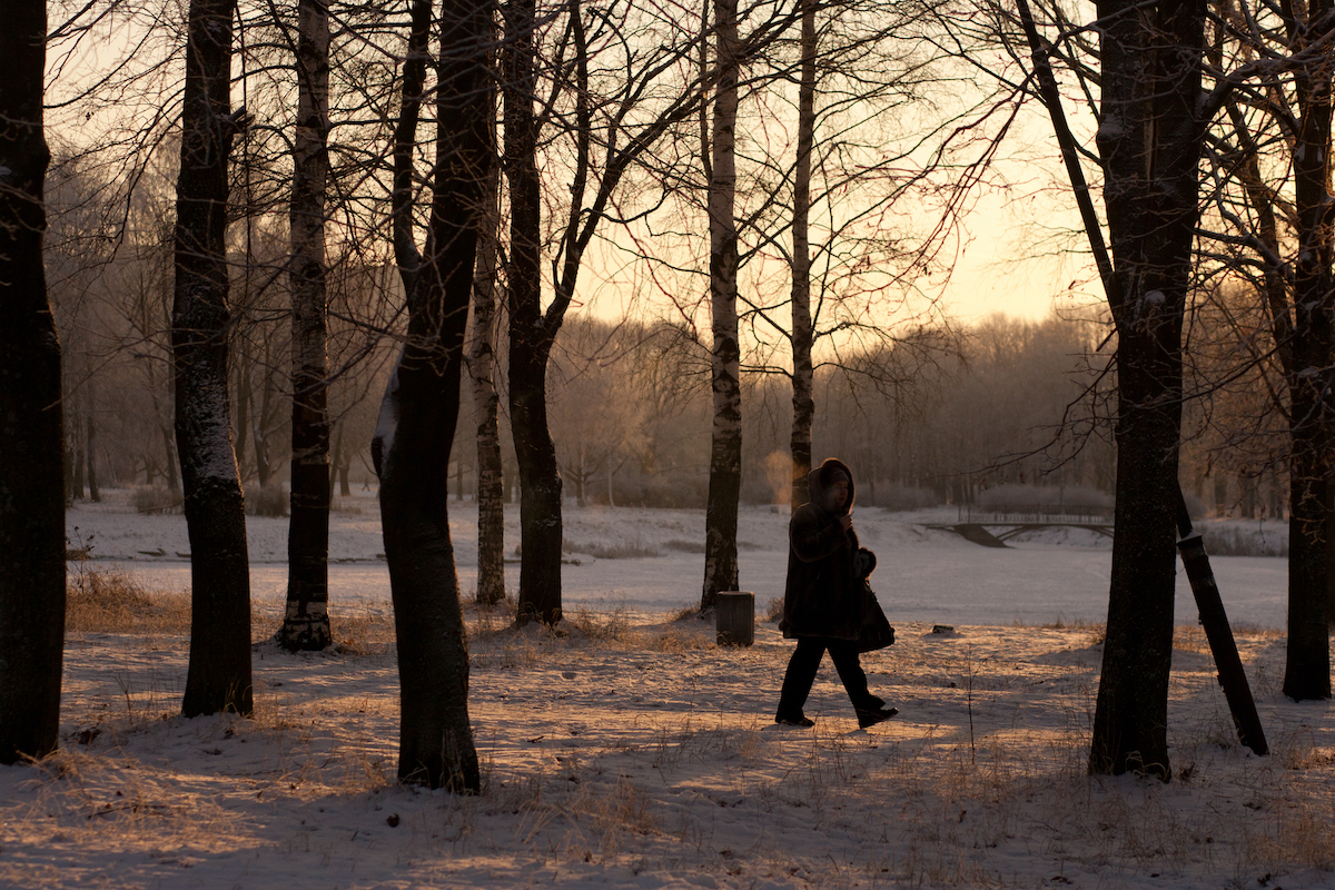 Новая неделя начнется в Петербурге со снега и похолодания до -18 °C