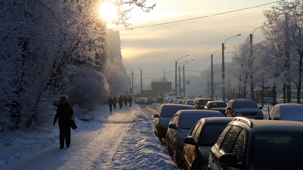 Морозы в Петербурге продлятся до конца недели