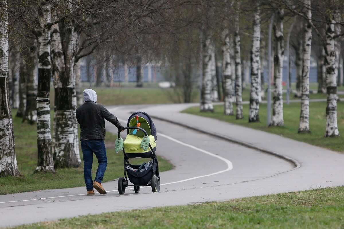 Просушка садов спб