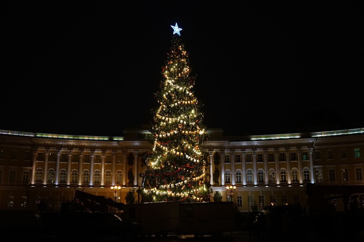 33 миллиона рублей выделит Петербург на закупку искусственных ёлок