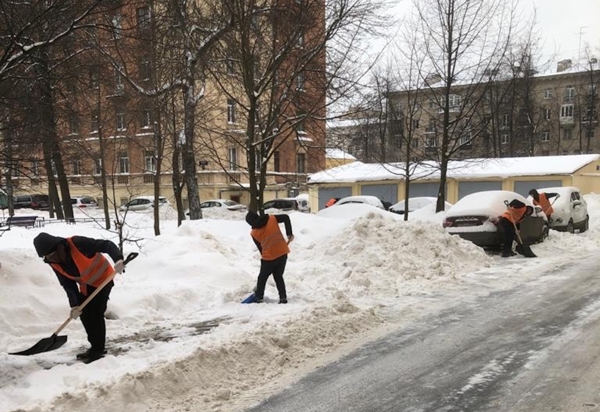 Во всех районах Петербурга нашли проблемы с уборкой снега во дворах