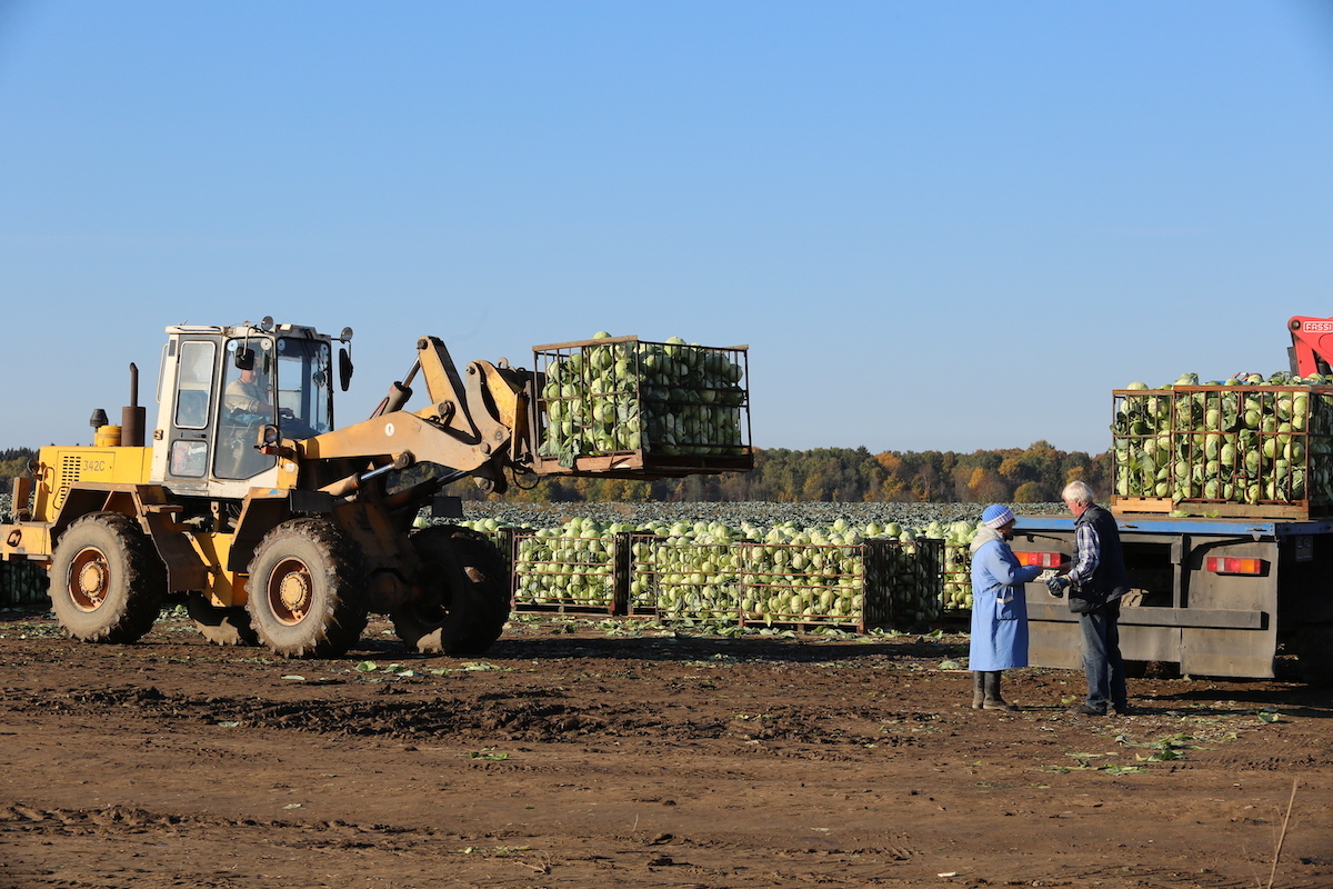 Правительство поможет российским аграриям субсидиями