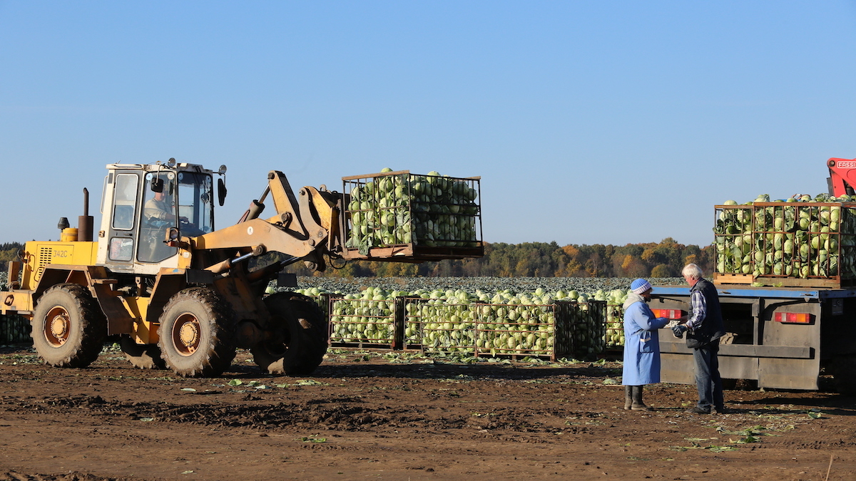 Фермеры России сообщают о нехватке льготных кредитов