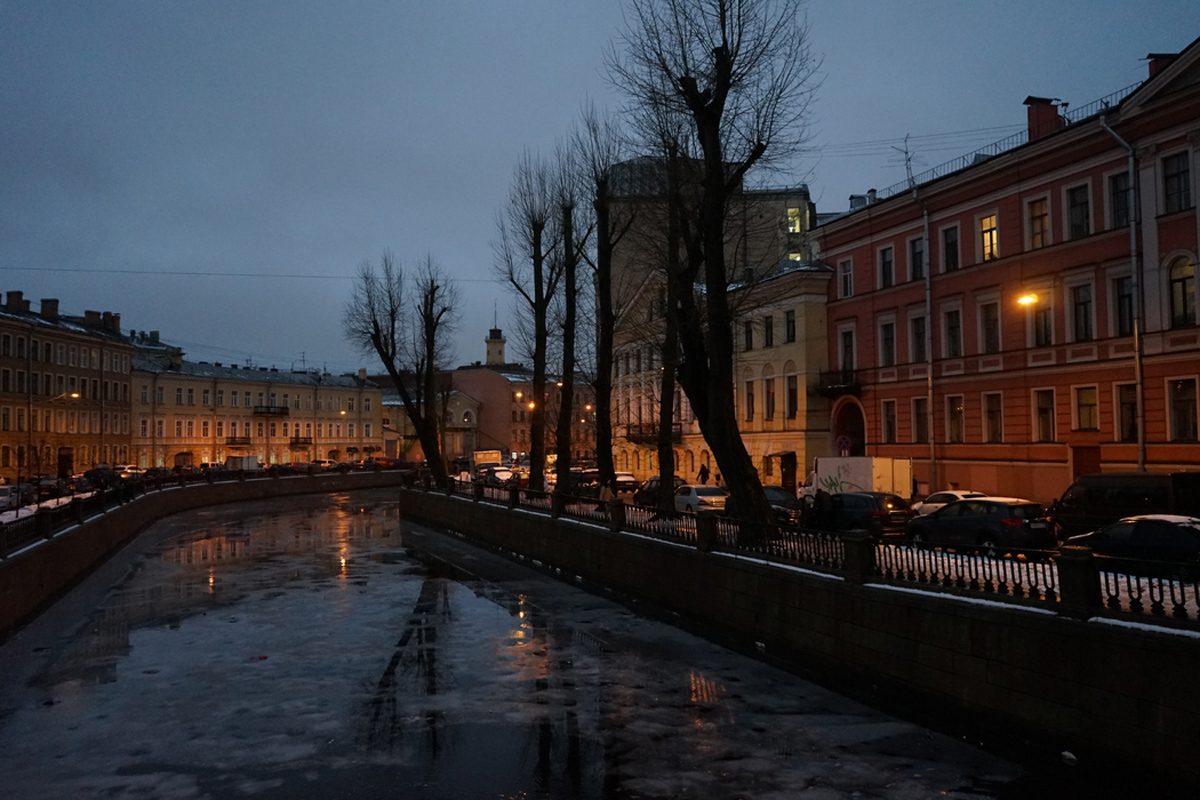 Санкт петербург открыта. Канал Грибоедова март. Птицы, Санкт-Петербург, набережная канала Грибоедова. На набережной канала Грибоедова деревья. Канал Грибоедова 96.