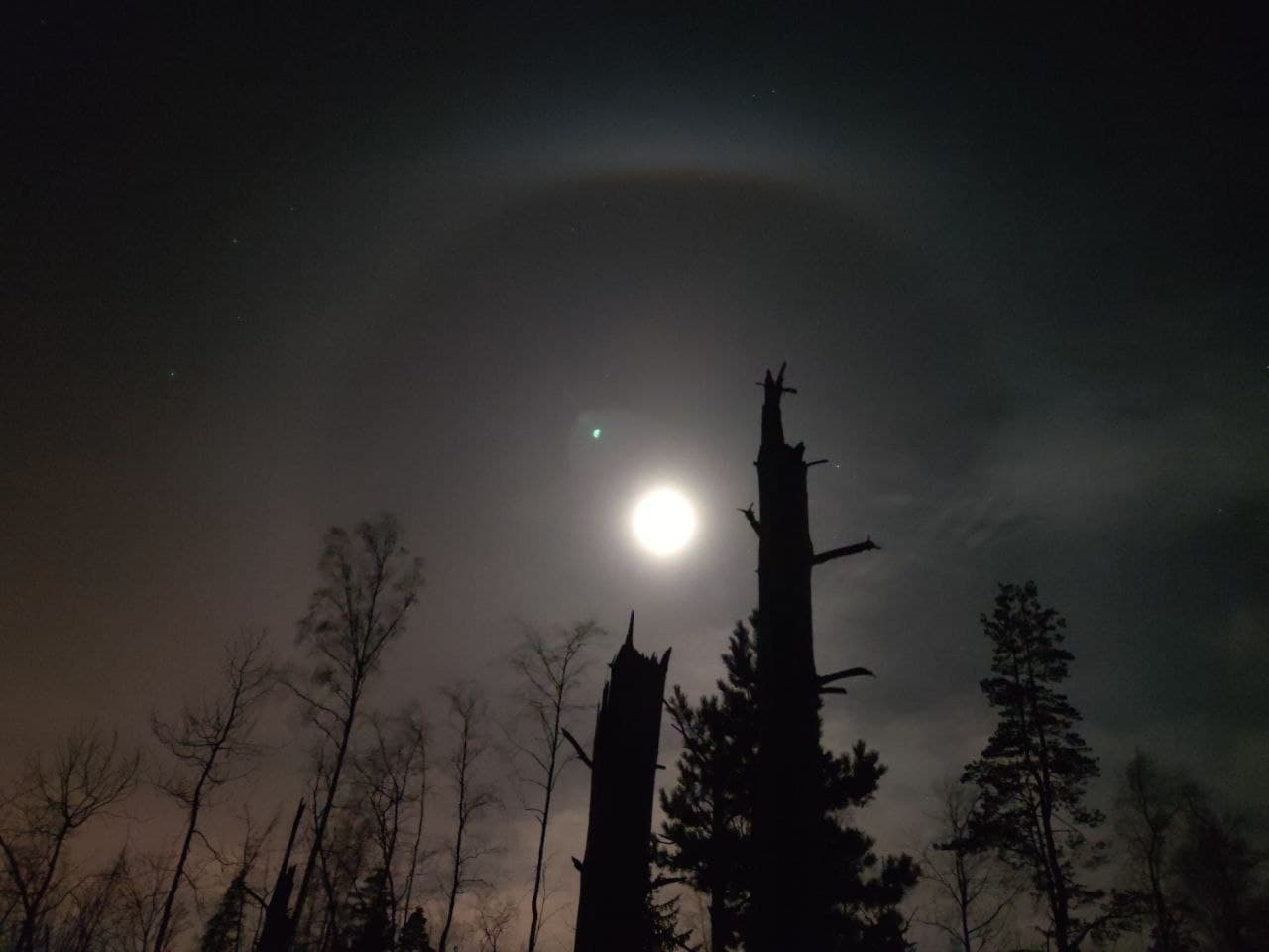 Лунное гало наблюдали под Петербургом в ночь на 24 марта