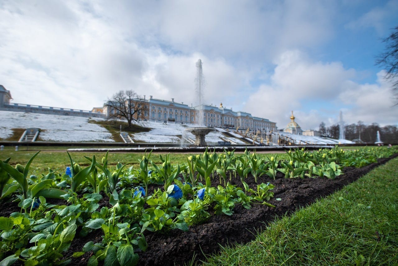 Открытие летнего сезона фонтанов в Петергофе запомнится выпавшим снегом