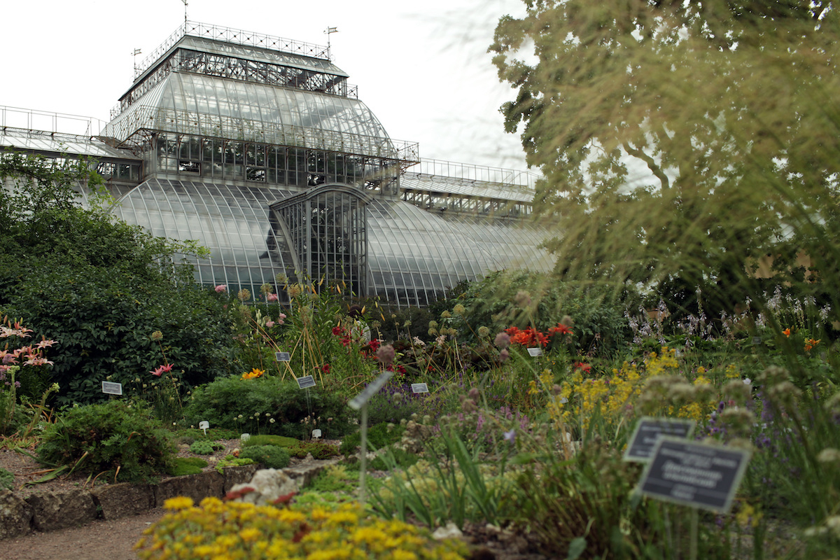 Оранжереи Ботанического сада закроют на час раньше из-за аномальной жары