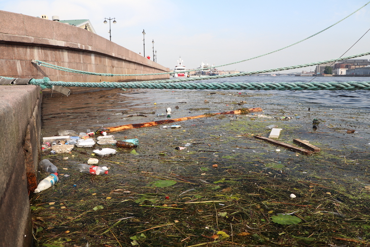 В Петербурге более 330 водоемов очистят от мусора