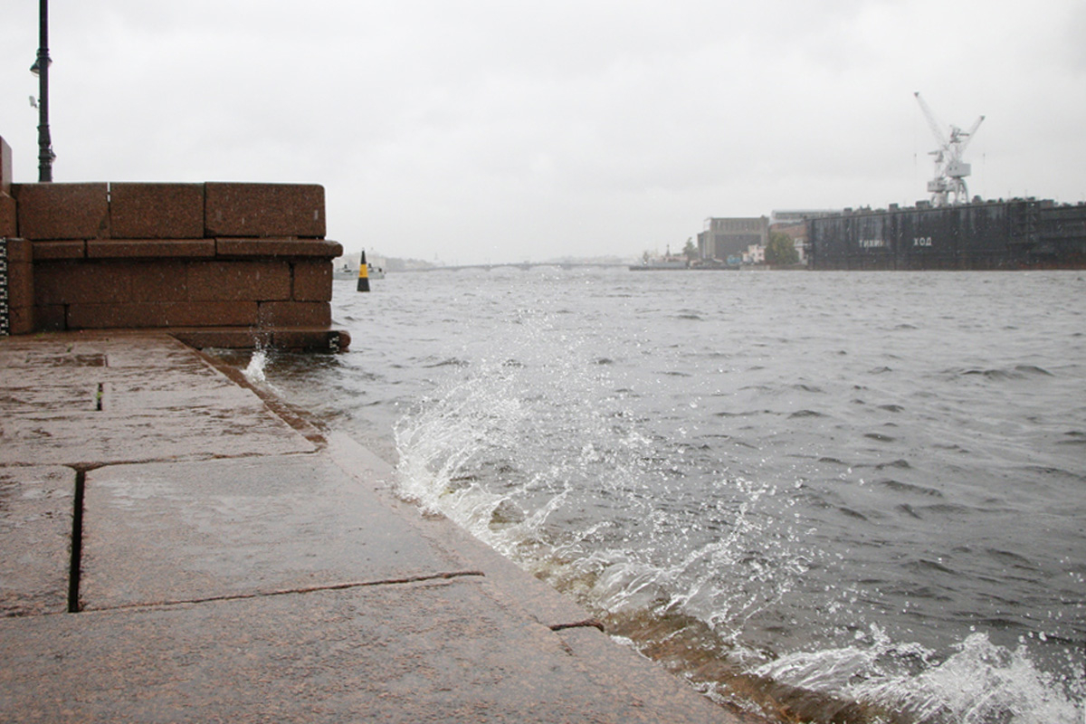 МЧС предупредило об усилении ветра в Петербурге и области до 20 м/с