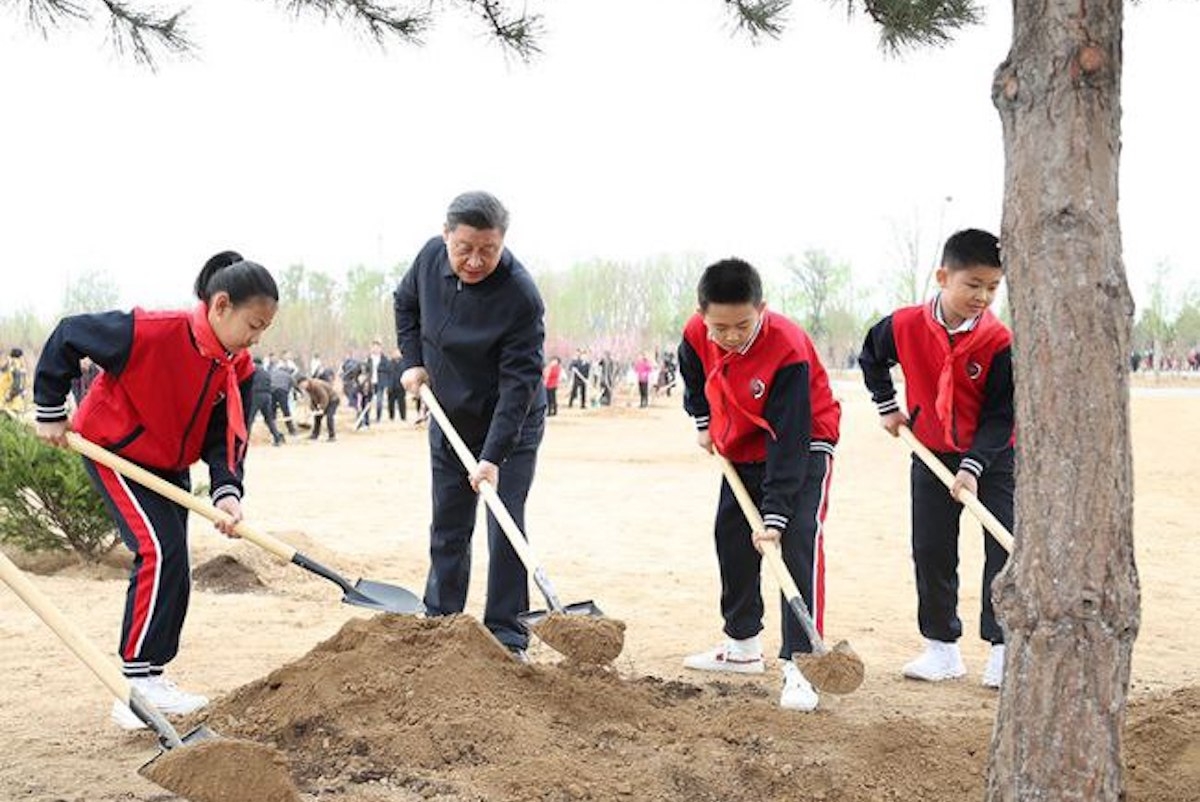 Глава КНР Си Цзиньпин посадил деревья с жителями Пекина