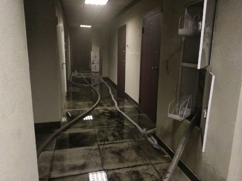 При пожаре в Кудрово пострадали два человека