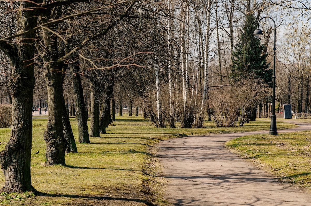 После просушки в Петербурге открываются еще пять парков и садов
