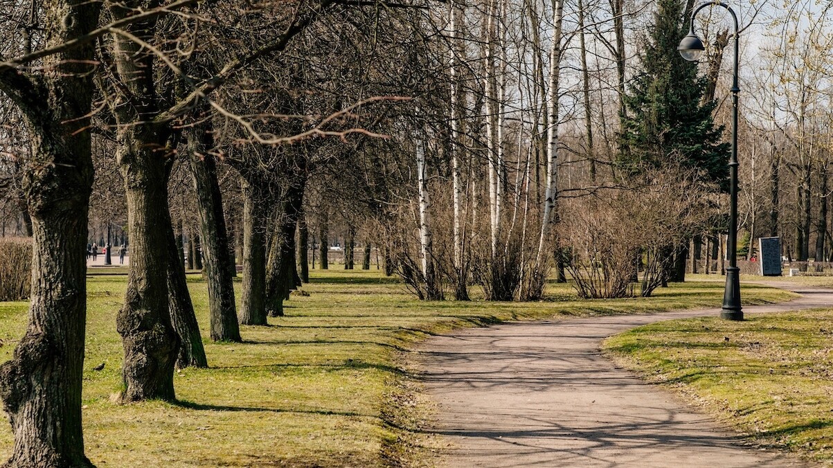 В Ленобласти откроют бесплатный фитнес-парк