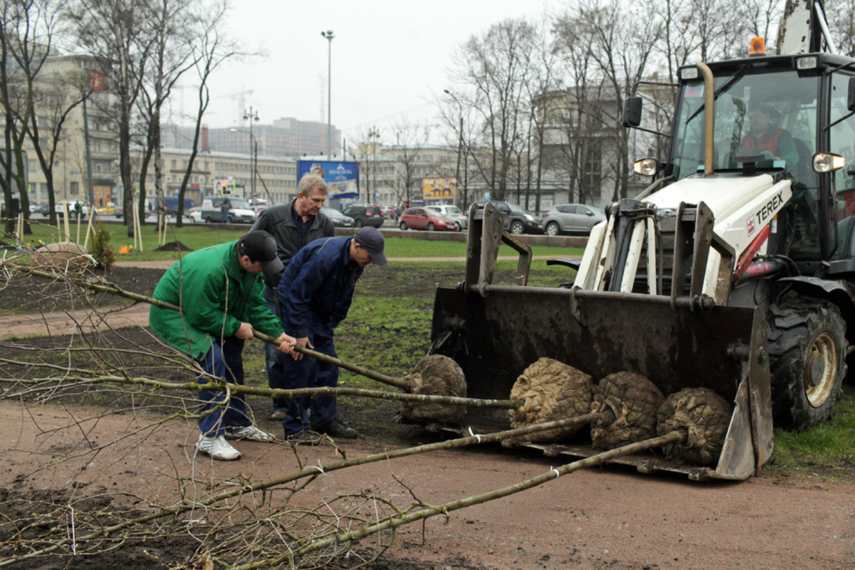 Петербуржцев пригласили принять участие в озеленении города на каникулах