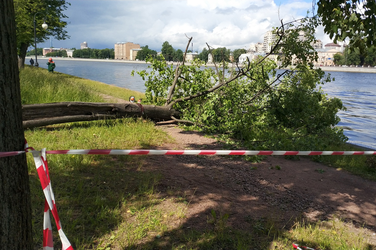 Из-за ветра в Петербурге пострадал один человек