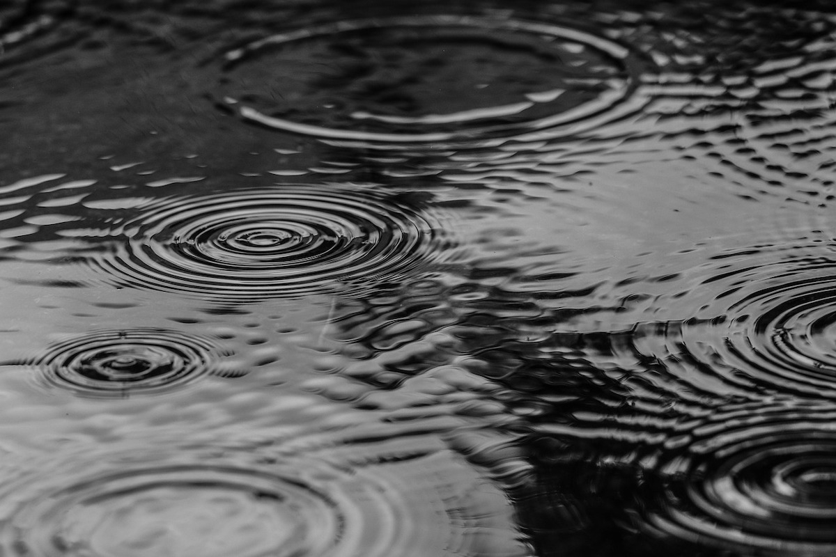 Новая неделя начнется для петербуржцев с дождей