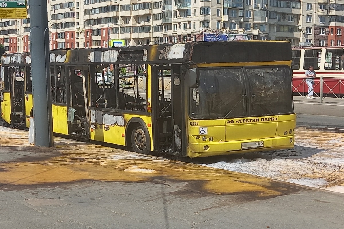 На улице Савушкина загорелся автобус