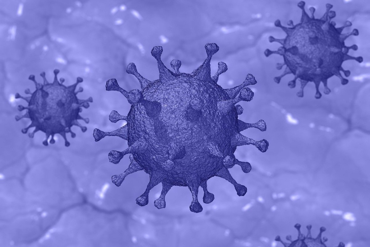 ВОЗ предупредила об угрозе индийского штамма в победивших коронавирус COVID-19 странах
