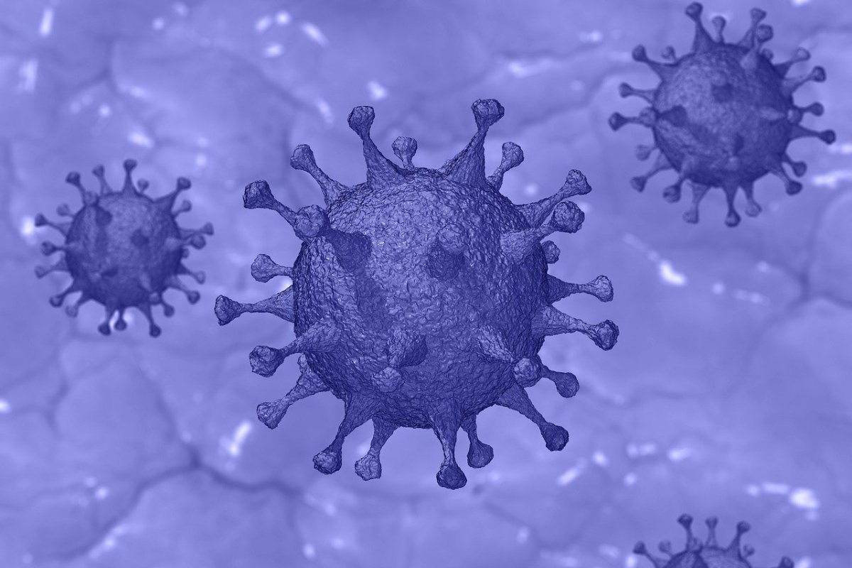 В Британии заявили о повышенном риске повторного заражения дельта-штаммом коронавируса COVID-19