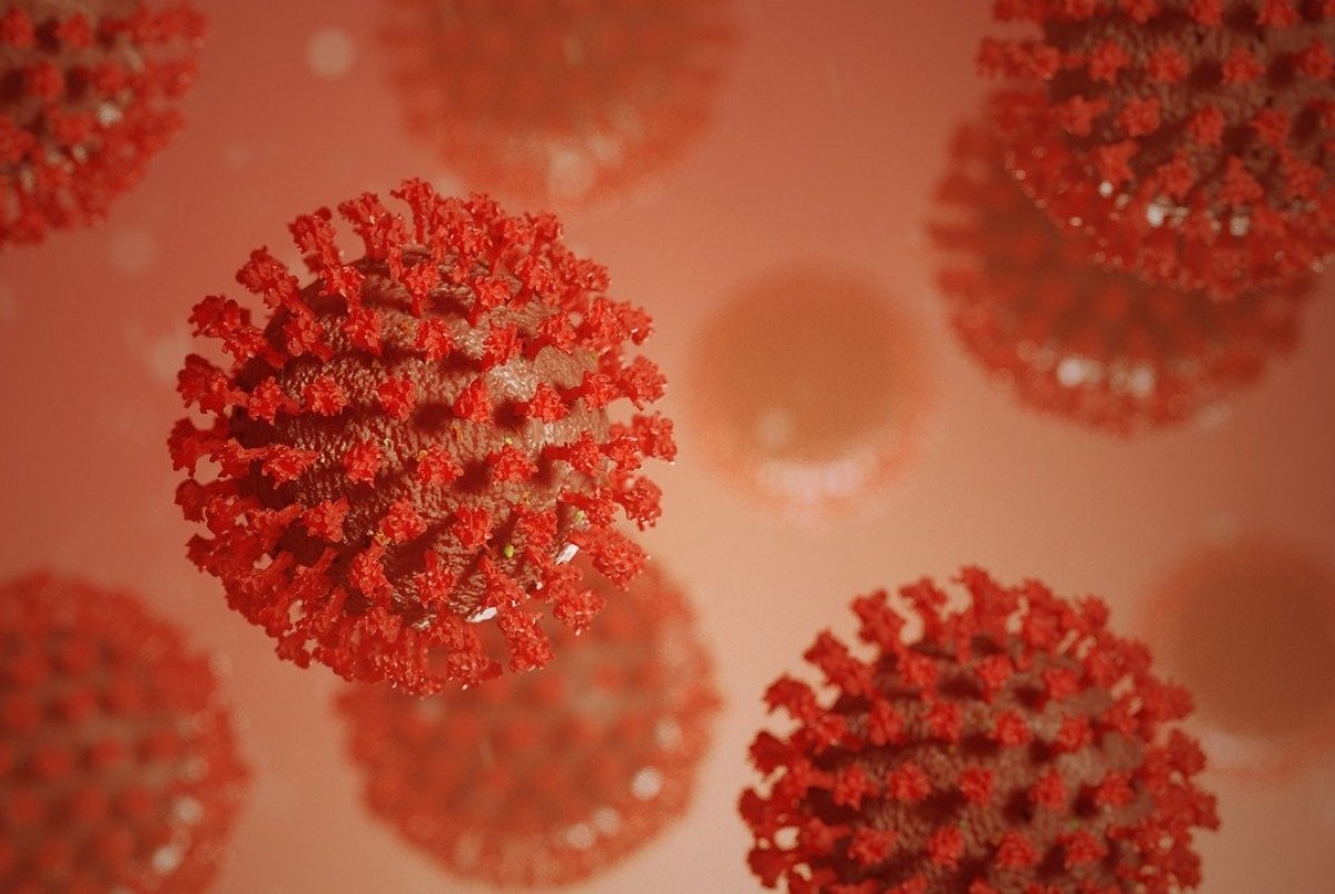 Появление нового коронавируса в ЮАР прокомментировали в «Векторе»