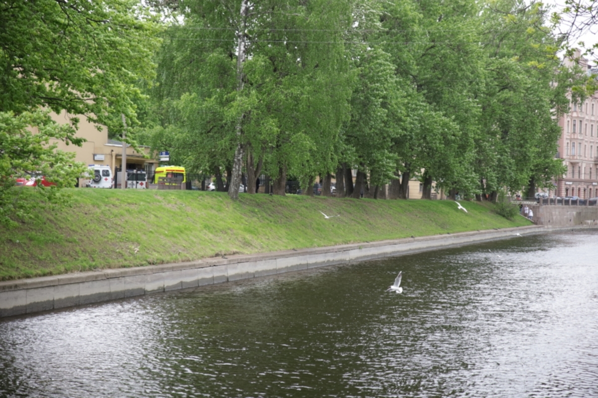 К 2023 году дно реки Карповки очистят от донных отложений