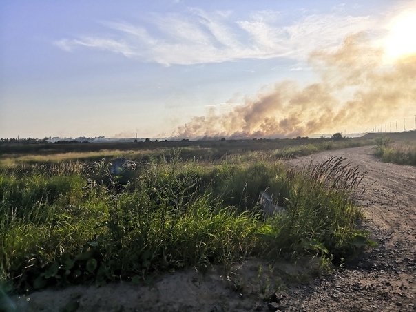 Дым от горящих полей постепенно накрывает один район Петербурга за другим
