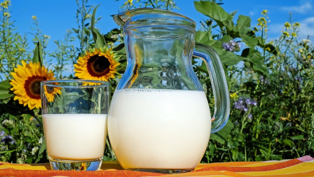 В «Союзмолоке» прокомментировали рост запасов товарного молока в России