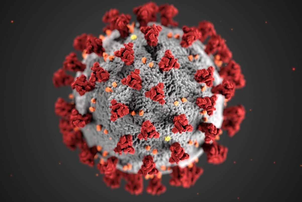Новый штамм коронавируса «Йота» приводит к смерти с вероятностью 82%