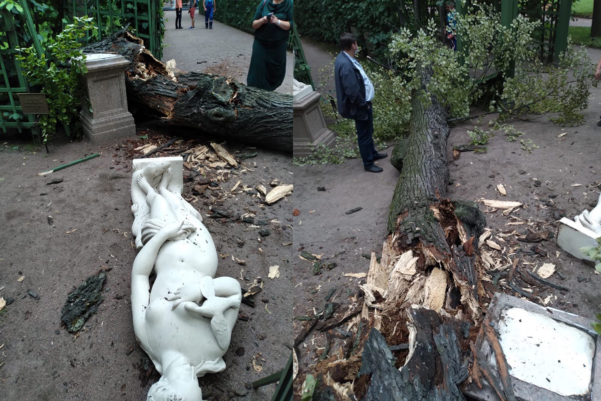 В Летнем саду 260-летняя липа рухнула на скульптуру из-за порыва ветра