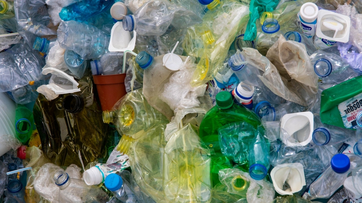 Волонтеры собрали больше 20 мешков мусора в заказнике «Лебяжий»