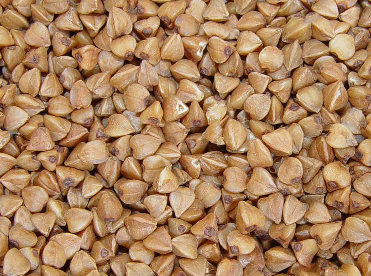 еланская гречиха. крупа гречневая 900г. гречка геркулес. гречиха в москве. гречка 900 гр.