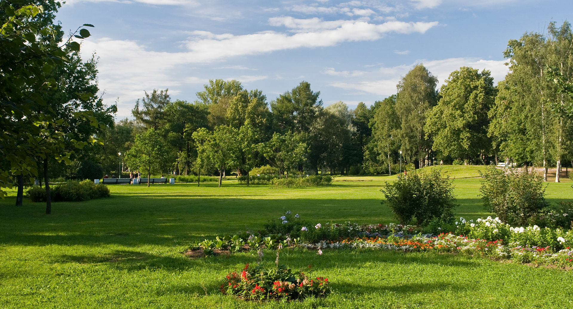 Петербургские сады и парки снова открыли для посещения