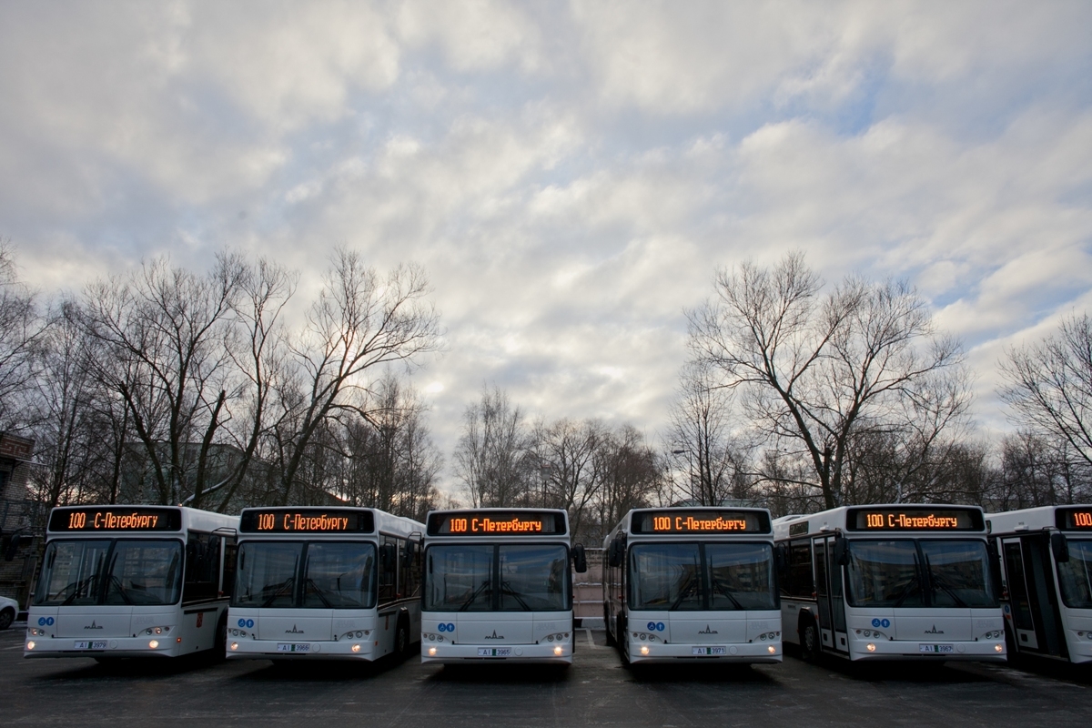 В Ленинградской области состоялась проверка водителей автобусов