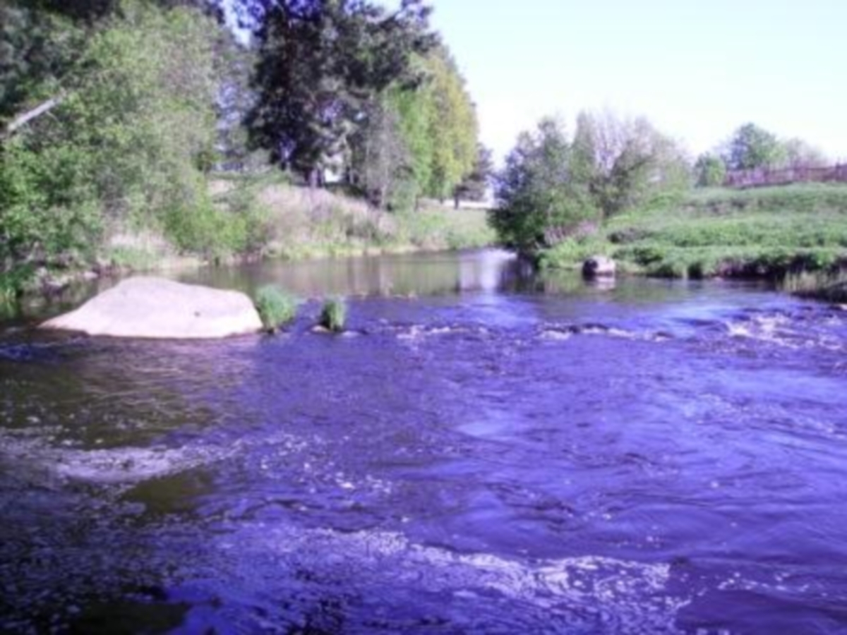 «Водоканал» оштрафовали за загрязнение реки Коваши нефтепродуктами