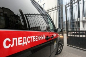 Блогера Александру Митрошину подозревают в неуплате 120 млн рублей