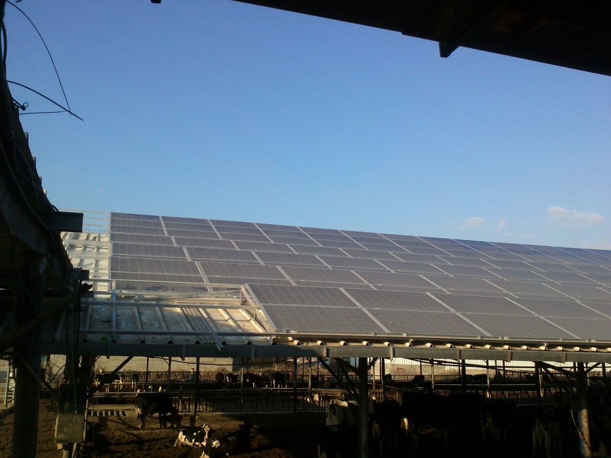 В ИТМО разработали технологию для увеличения эффективности солнечных батарей