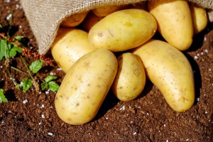 Структуры Глеба Фетисова купят производителей картофеля