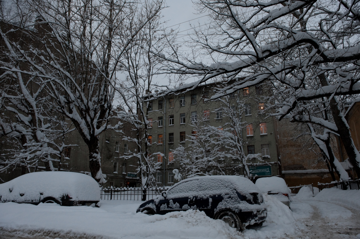 Россиянам пообещали умеренно снежную и теплую зиму