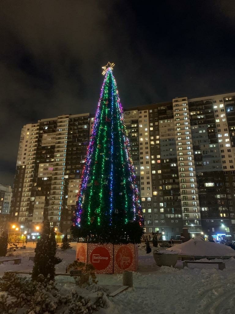 Дворы домов Setl Group в Петербурге украсили новогодними елями
