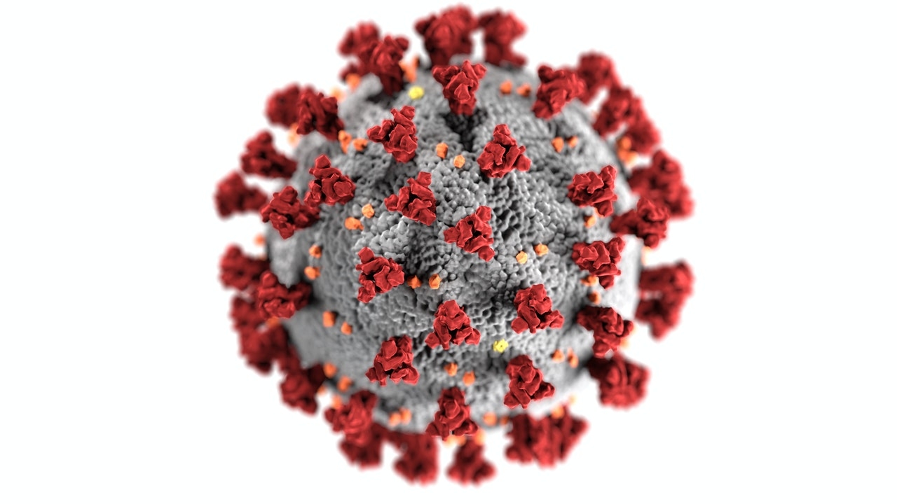 Иммунолог Жемчугов: «Омикрон» может стать последней мутацией коронавируса