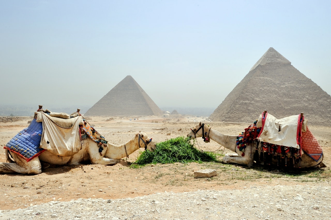 С 22 января Египет вводит поголовное тестирование туристов на COVID-19