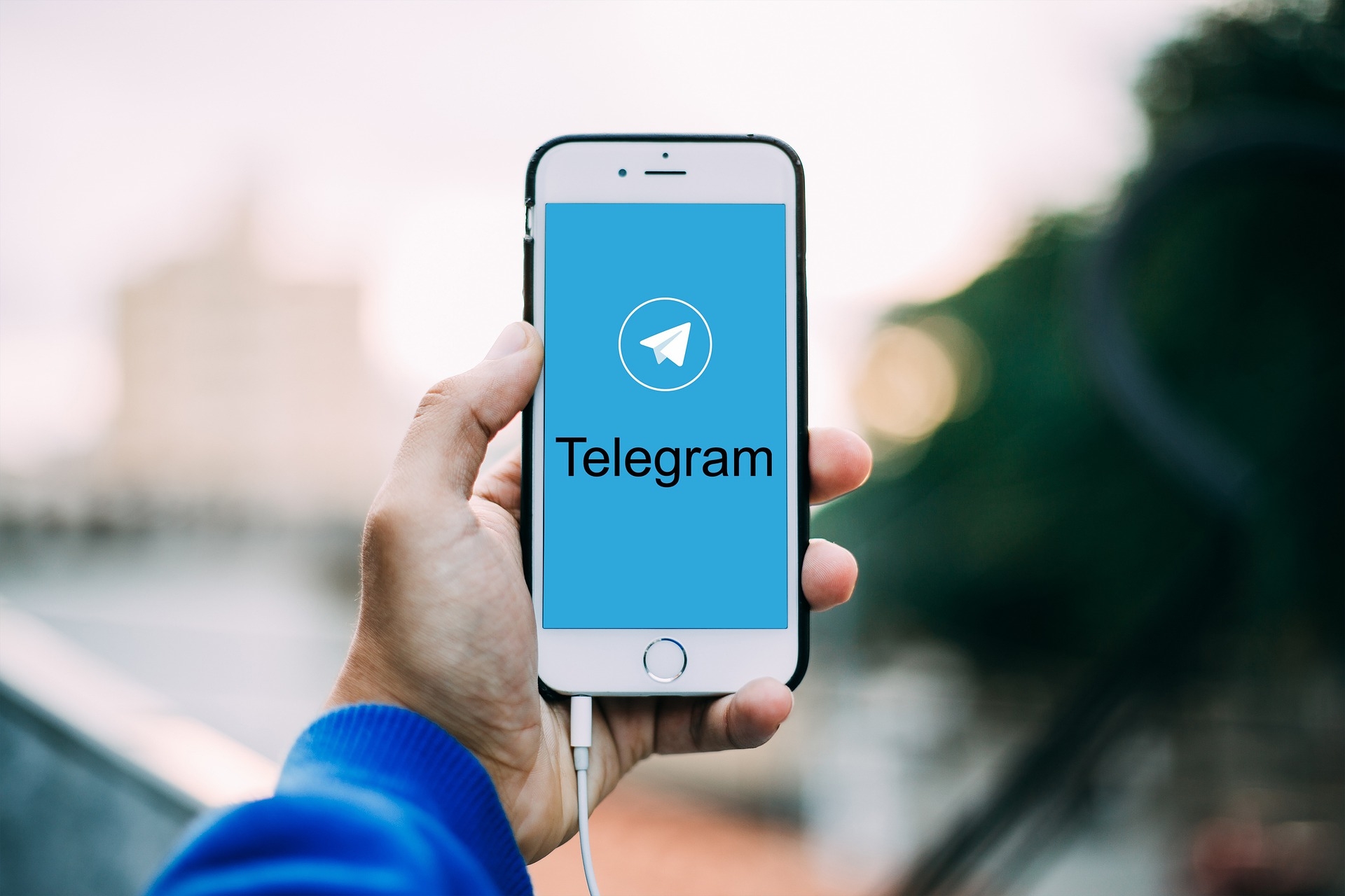 Составлен ТОП-10 Telegram-каналов с новостями Ленобласти - АБН 24