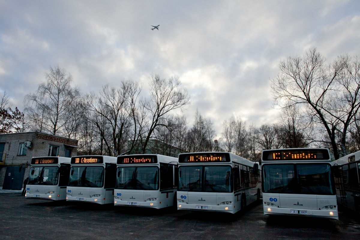 В Петербурге запустили 16 дополнительных автобусов
