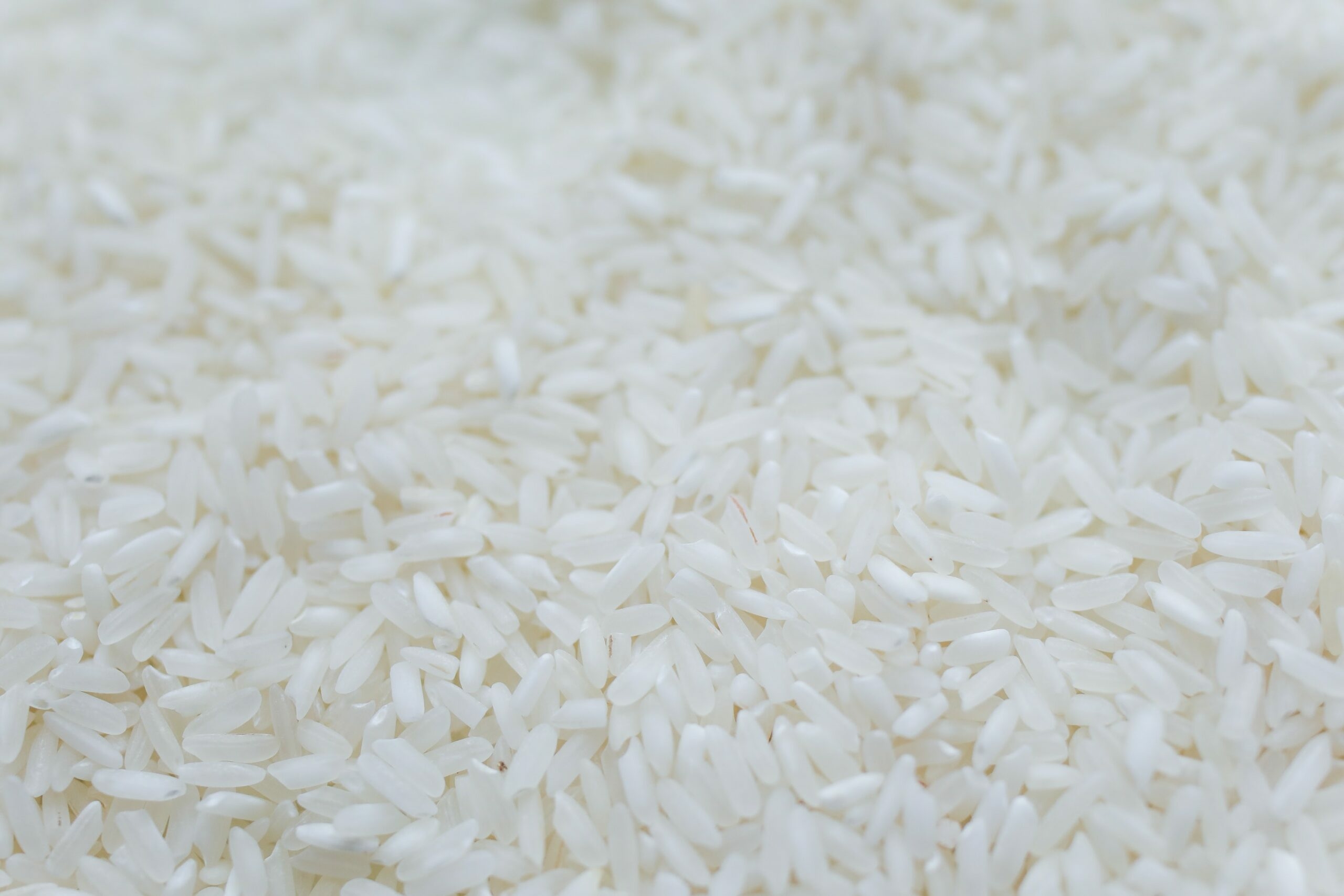 Экспорт риса в России может оказаться под запретом
