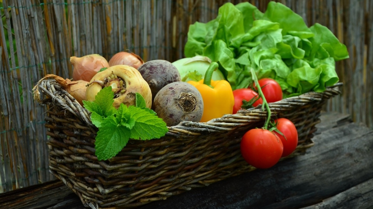 В Ленинградской области увеличат производство овощей