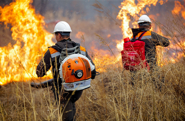 В Свердловской области локализовали крупный природный пожар