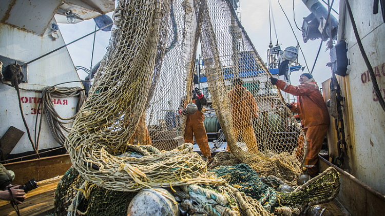 Промысел лосося планируют продлить в Приморье