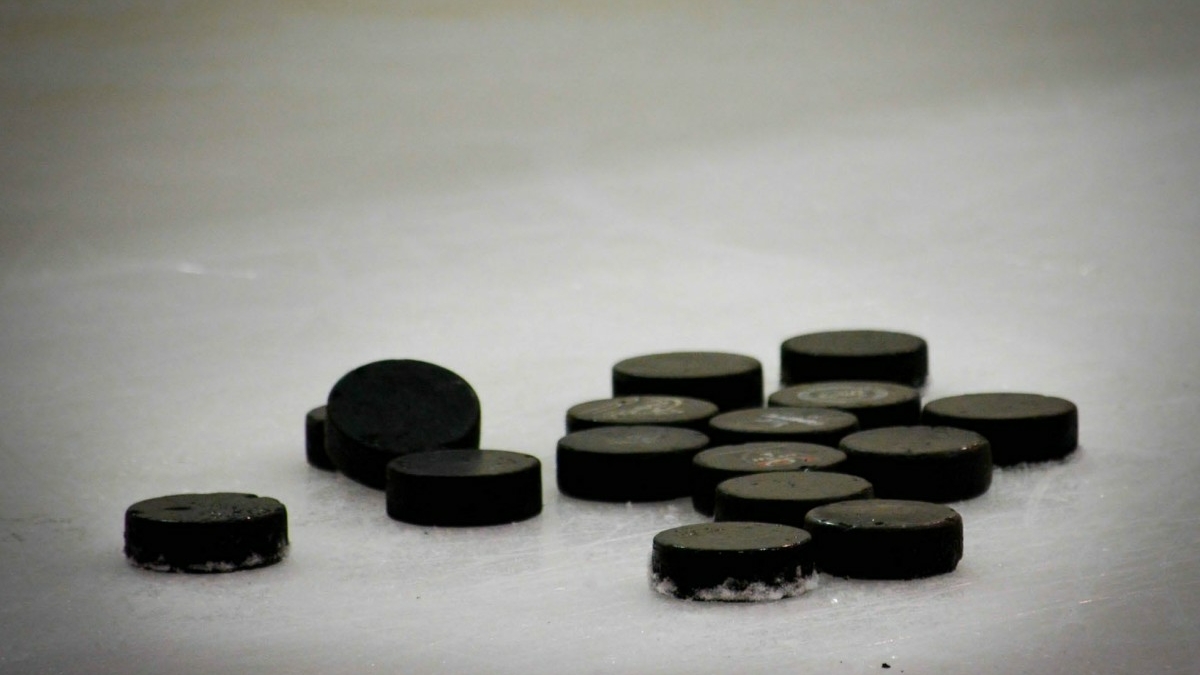 В Новгородской области могут создать молодежную хоккейную команду