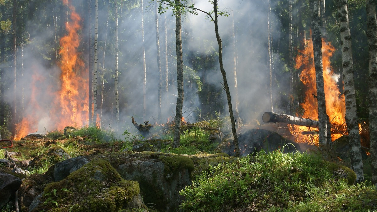 Казанские пожарные командированы в Нижегородскую область тушить лес