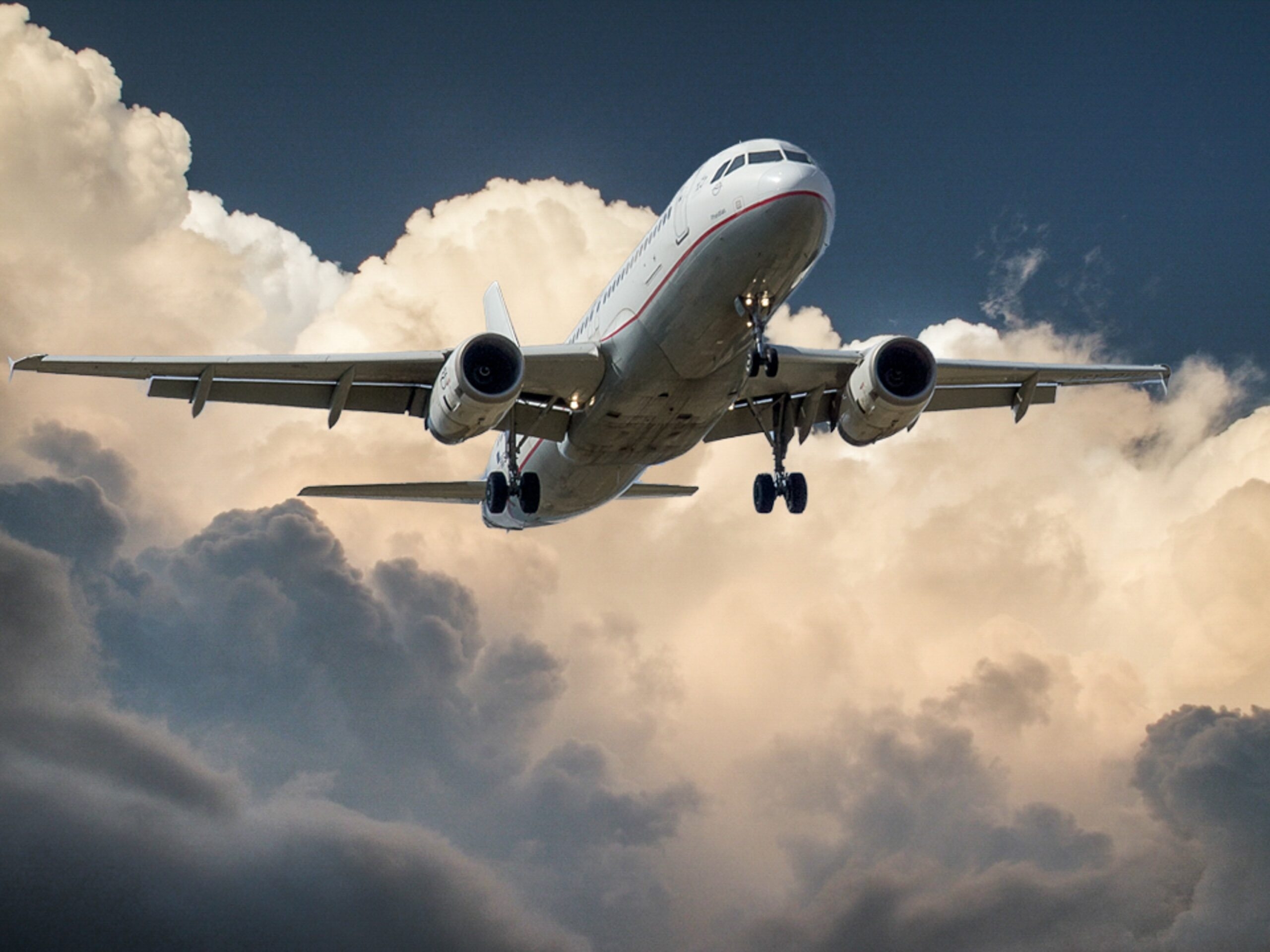 В Самаре из-за неадекватного пассажира экстренно посадили самолет, летевший в Таджикистан